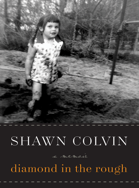 Diamond in the Rough, Shawn Colvin