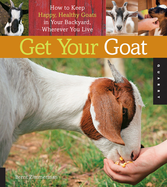 Get Your Goat, Brent Zimmerman