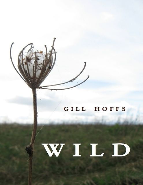 Wild a Collection, Gill Hoffs