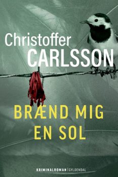 Brænd mig en sol, Christoffer Carlsson