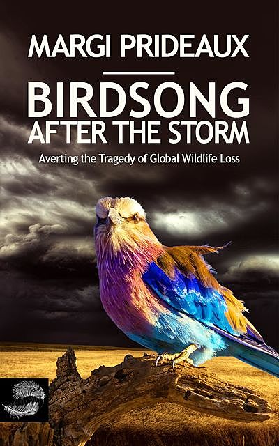 Birdsong After the Storm, Margi Prideaux