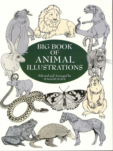 Big Book of Animal Illustrations, Maggie Kate