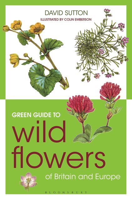 Green Guide to Wild Flowers Of Britain And Europe, David Sutton