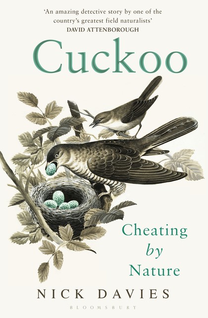 Cuckoo, Nick Davies