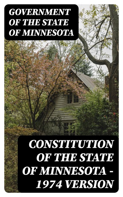 Constitution of the State of Minnesota — 1974 Version, Government of the State of Minnesota