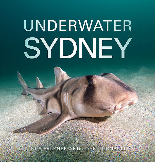 Underwater Sydney, Inke Falkner, John Turnbull