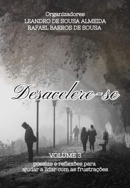Desacelere-se 3, Leandro De Sousa Almeida, Rafael Barros De Sousa