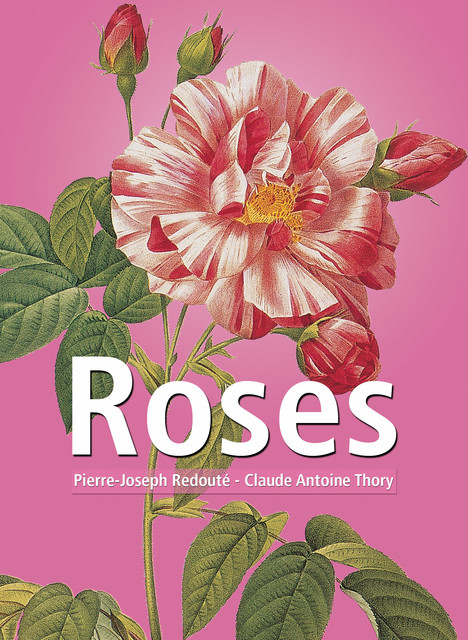 Roses, Claude Antoine Thory, Pierre-Joseph Redouté
