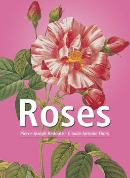 Roses, Claude Antoine Thory, Pierre-Joseph Redouté