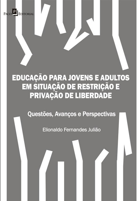 Educação para Jovens e Adultos em situação de restrição e privação de liberdade, Elionaldo Fernandes Julião