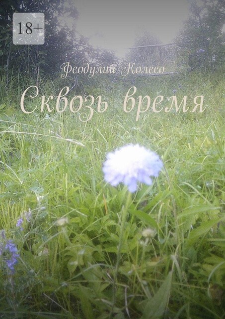 За дикими верстами, Алекс Динго