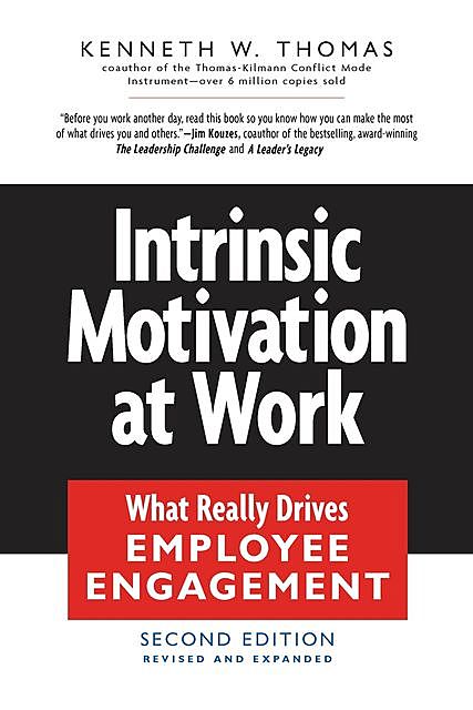 Intrinsic Motivation at Work, Kenneth Thomas