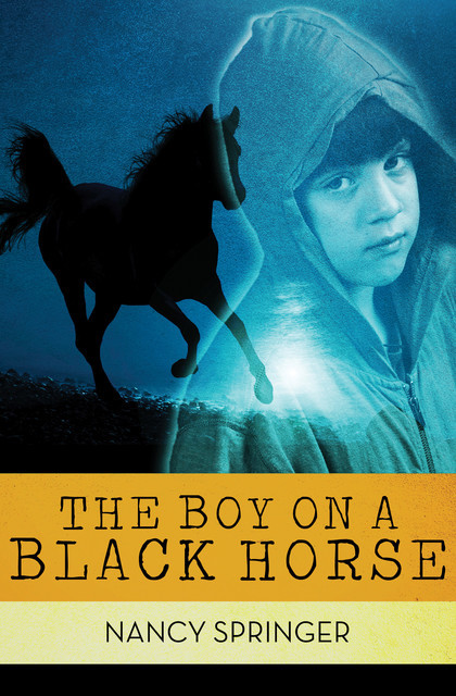 The Boy on a Black Horse, Nancy Springer