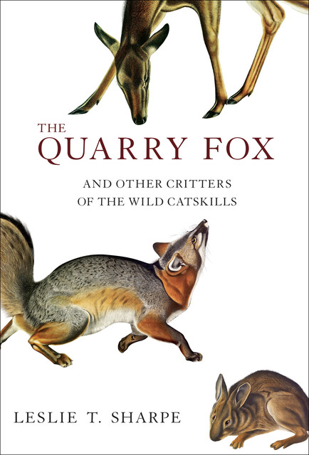 The Quarry Fox, Leslie Sharpe