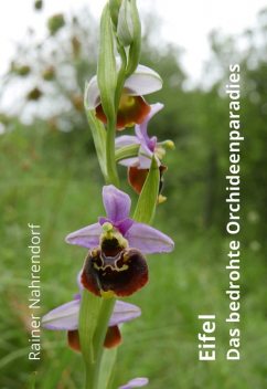 Eifel – Das bedrohte Orchideenparadies, Rainer Nahrendorf