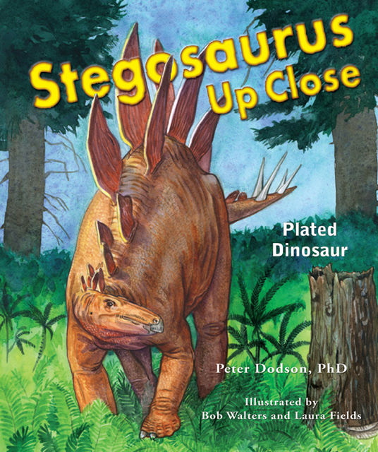 Stegosaurus Up Close, Peter Dodson