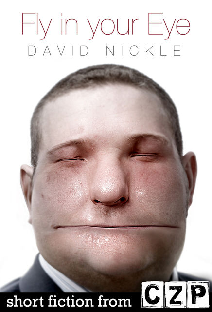 Fly in your Eye, David Nickle