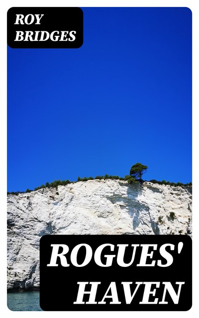 Rogues' Haven, Roy Bridges