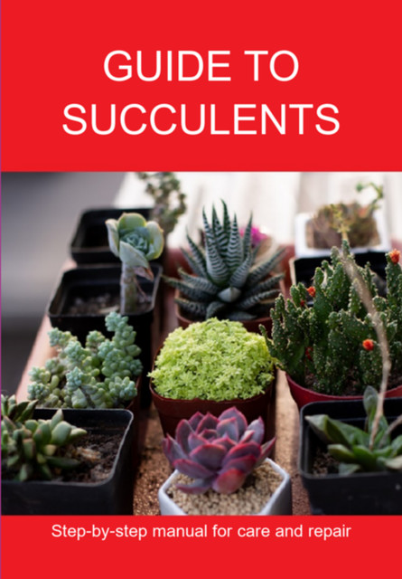 Guide To Succulents, Jideon F Maruqes