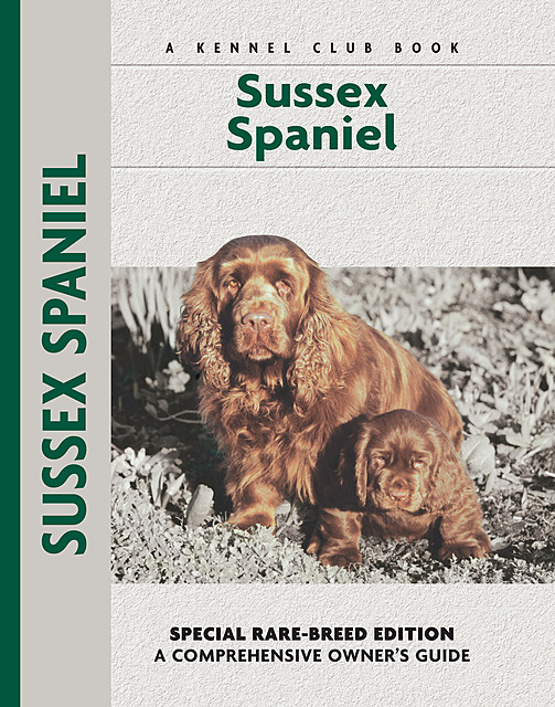 Sussex Spaniel, Becki Jo Hirshy