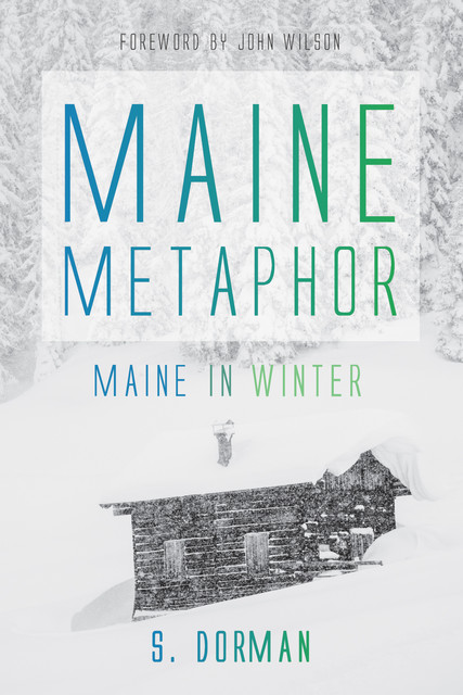 Maine Metaphor: Maine in Winter, S. Dorman