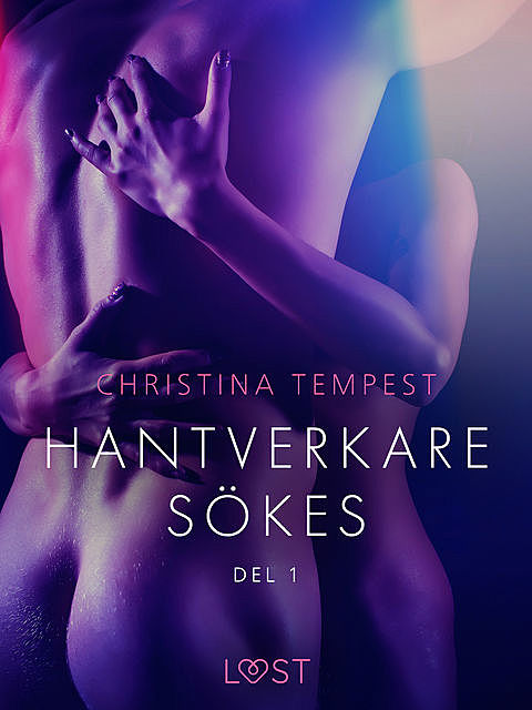 Hantverkare sökes Del 1 – erotisk novell, Christina Tempest