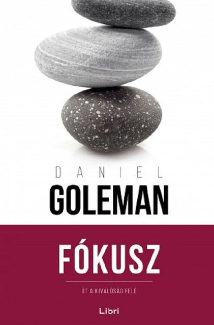 Fókusz, Daniel Goleman