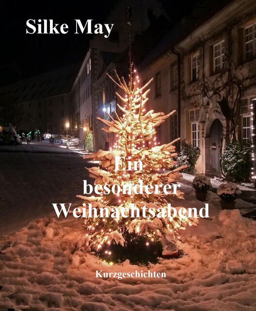 Ein besonderer Weihnachtsabend, Silke May