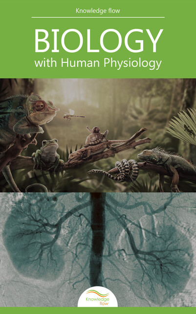 Biology with Human Physiology, Knowledge flow