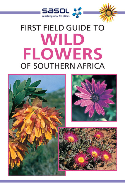 First Field Guide to Wild Flowers of Southern Africa, John Manning