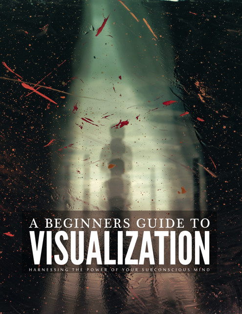 A Beginners Guide To Visualization, Tiago Silva