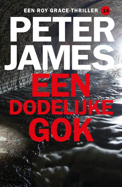 Een dodelijke gok, Peter James