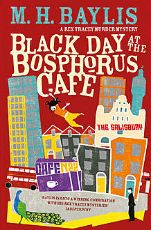 Black Day at the Bosphorus Café, M.H.Baylis