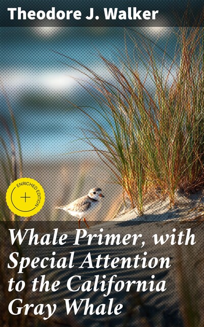 Whale Primer, with Special Attention to the California Gray Whale, Theodore J. Walker
