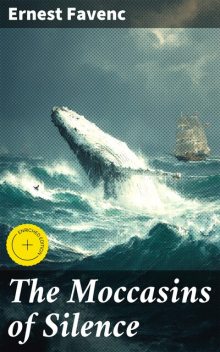 The Moccasins of Silence, Ernest Favenc