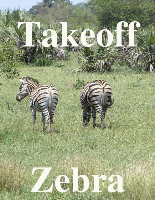 Takeoff Zebra, Daniel Blue