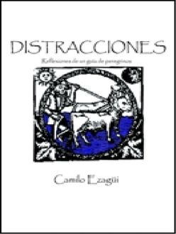 Distracciones, Camilo Ezagui