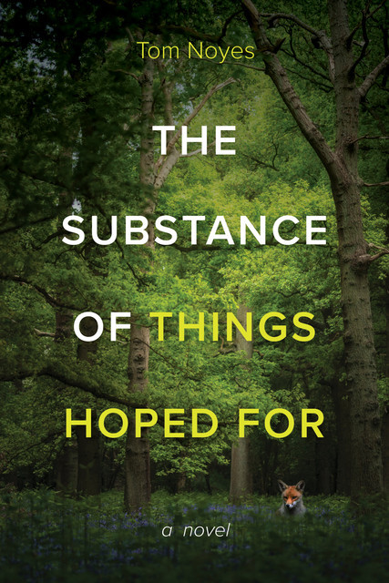 The Substance of Things Hoped For, Tom Noyes