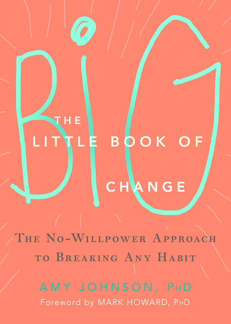 The Little Book of Big Change, Amy Johnson