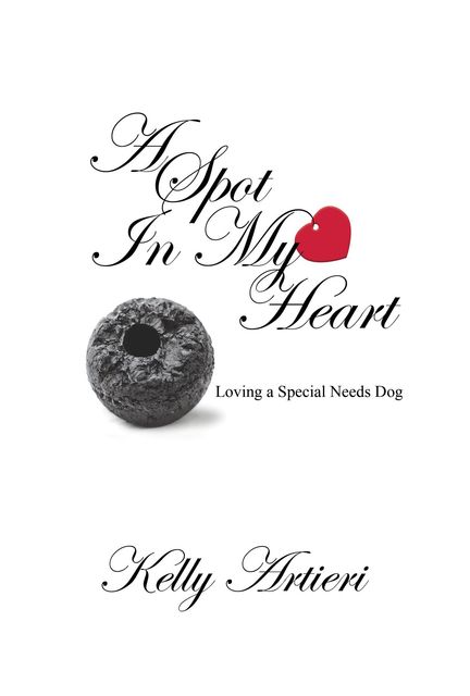 A Spot in My Heart, Kelly Artieri