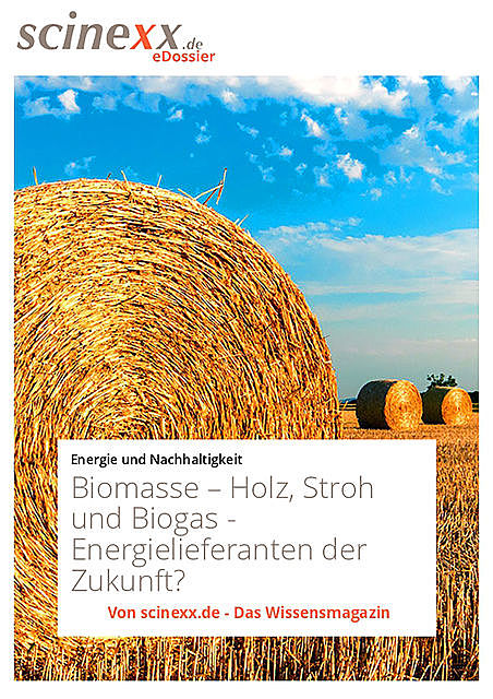 Biomasse, Dieter Lohmann