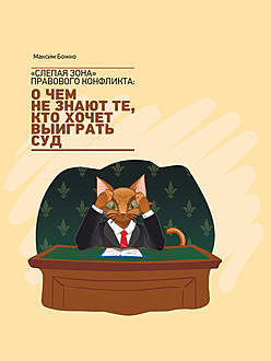 Слепая зона» правового конфликта, Максим Божко