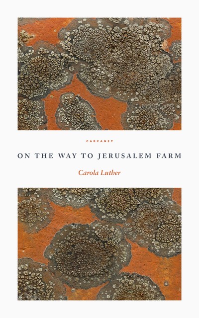 On the Way to Jerusalem Farm, Carola Luther