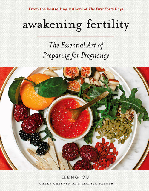 Awakening Fertility, Heng Ou, Amely Greeven, Marisa Belger