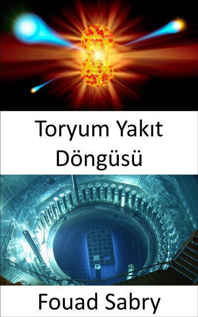Toryum Yakıt Döngüsü, Fouad Sabry