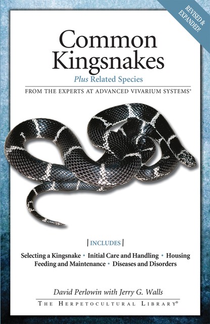 Common Kingsnakes, David Perlowin