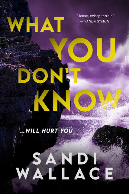 What You Don't Know, Sandi Wallace