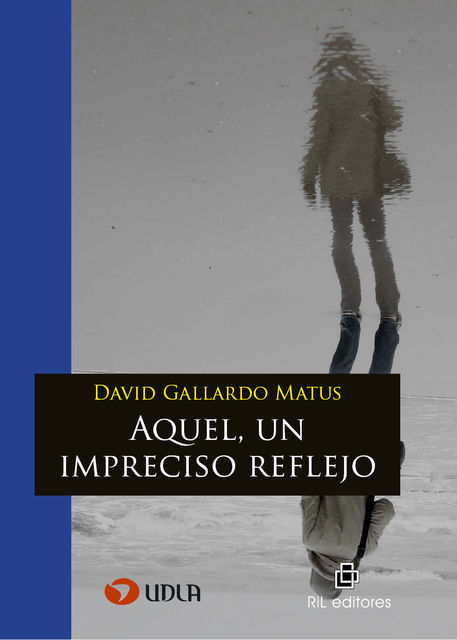 Aquel, un impreciso reflejo, David Gallardo Matus