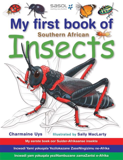 My First Book of Southern African Insects, Charmaine Uys