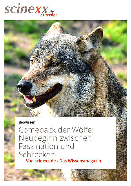 Comeback der Wölfe, Daniel Goliasch